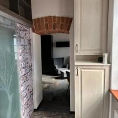 Lux Unirii Apartament Timişoara